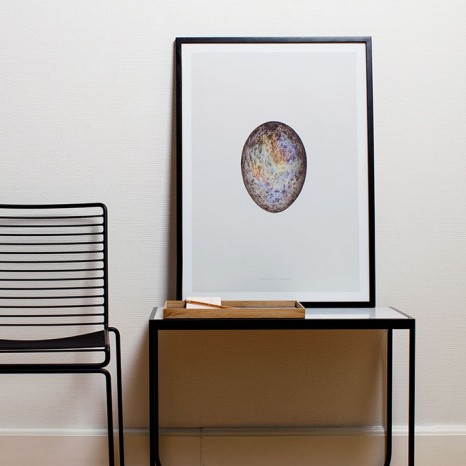 Sweet Post(er) Translucent Egg Spectrum Skull 466x466 Sweet Post(er)