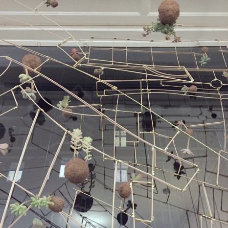 Indret med grønt: 5 ophæng til planter the sweet spot